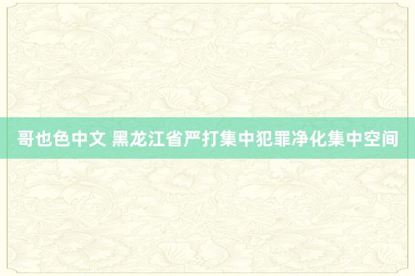 哥也色中文 黑龙江省严打集中犯罪净化集中空间