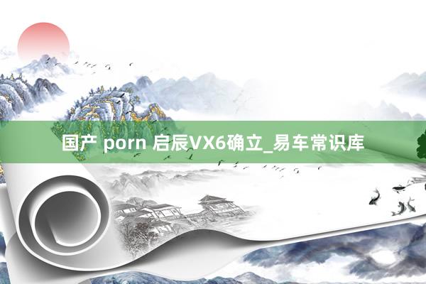 国产 porn 启辰VX6确立_易车常识库