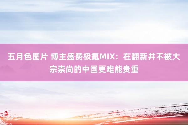 五月色图片 博主盛赞极氪MIX：在翻新并不被大宗崇尚的中国更难能贵重