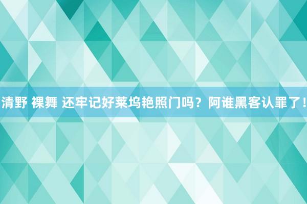 清野 裸舞 还牢记好莱坞艳照门吗？阿谁黑客认罪了！