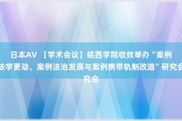 日本AV 【学术会议】皖西学院收效举办“案例法学更动、案例法治发展与案例携带轨制改造”研究会