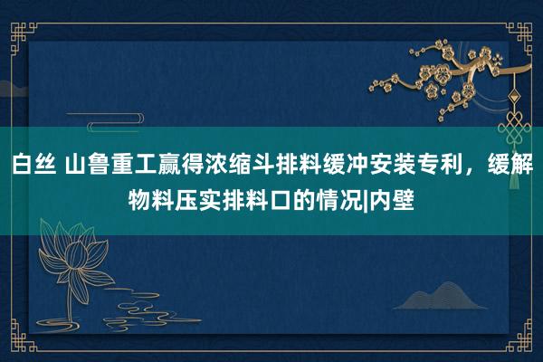 白丝 山鲁重工赢得浓缩斗排料缓冲安装专利，缓解物料压实排料口的情况|内壁