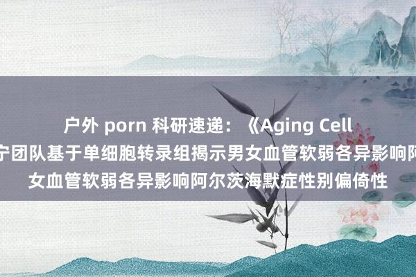 户外 porn 科研速递：《Aging Cell（软弱细胞）》丨李孔宁团队基于单细胞转录组揭示男女血管软弱各异影响阿尔茨海默症性别偏倚性