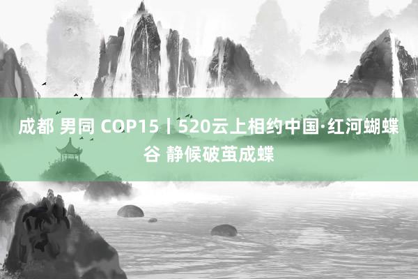 成都 男同 COP15丨520云上相约中国·红河蝴蝶谷 静候破茧成蝶