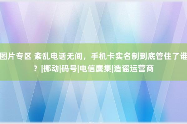 图片专区 紊乱电话无间，手机卡实名制到底管住了谁？|挪动|码号|电信麇集|造谣运营商