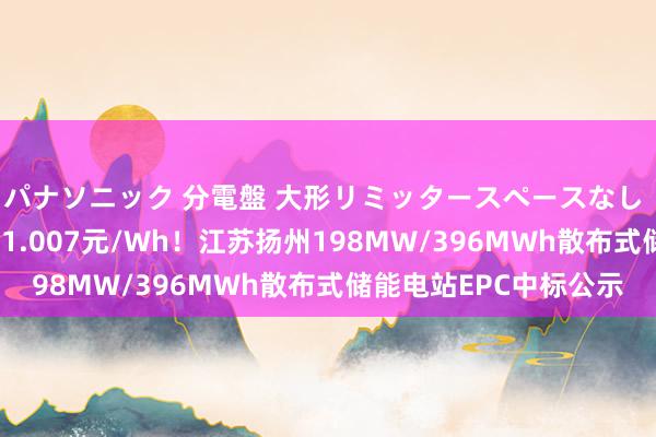 パナソニック 分電盤 大形リミッタースペースなし 露出・半埋込両用形 1.007元/Wh！江苏扬州198MW/396MWh散布式储能电站EPC中标公示