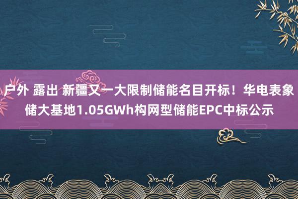 户外 露出 新疆又一大限制储能名目开标！华电表象储大基地1.05GWh构网型储能EPC中标公示